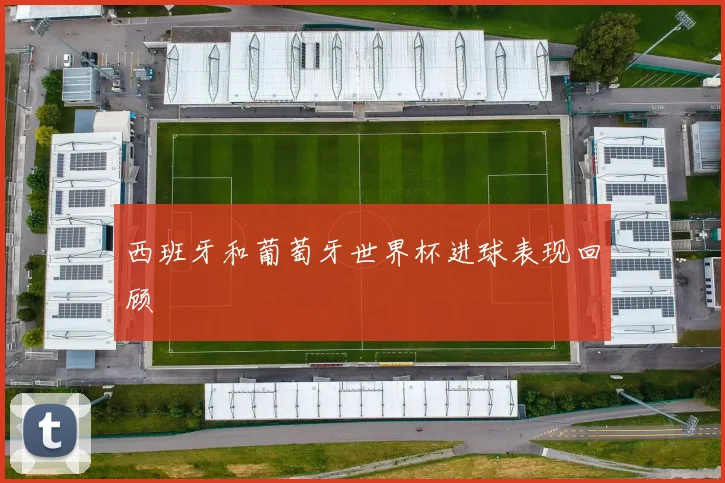 西班牙和葡萄牙世界杯进球表现回顾