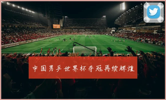 中国男乒世界杯夺冠再续辉煌